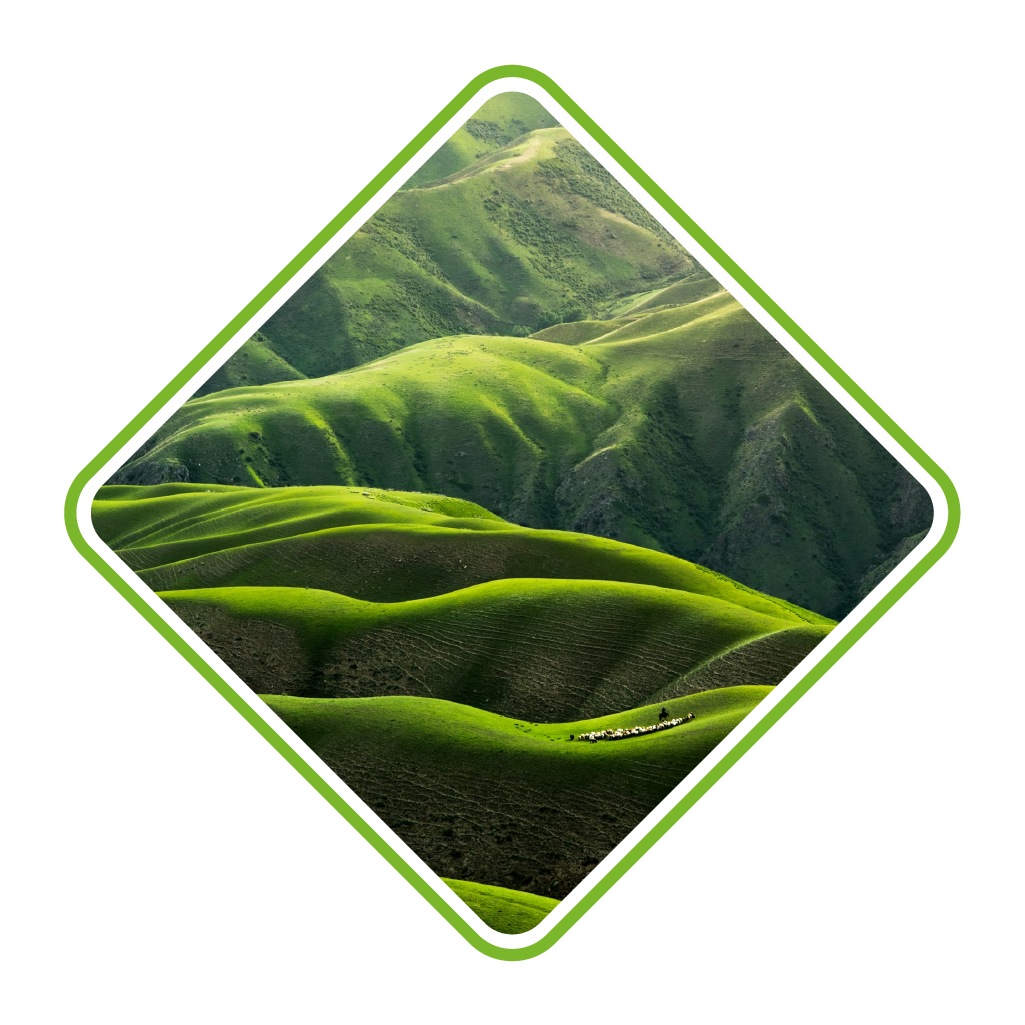 environmental protection